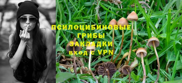 таблы Пересвет
