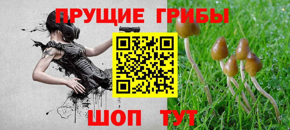 Ульяновск  Псилоцибиновые грибы прущие грибы  Вход с VPN 