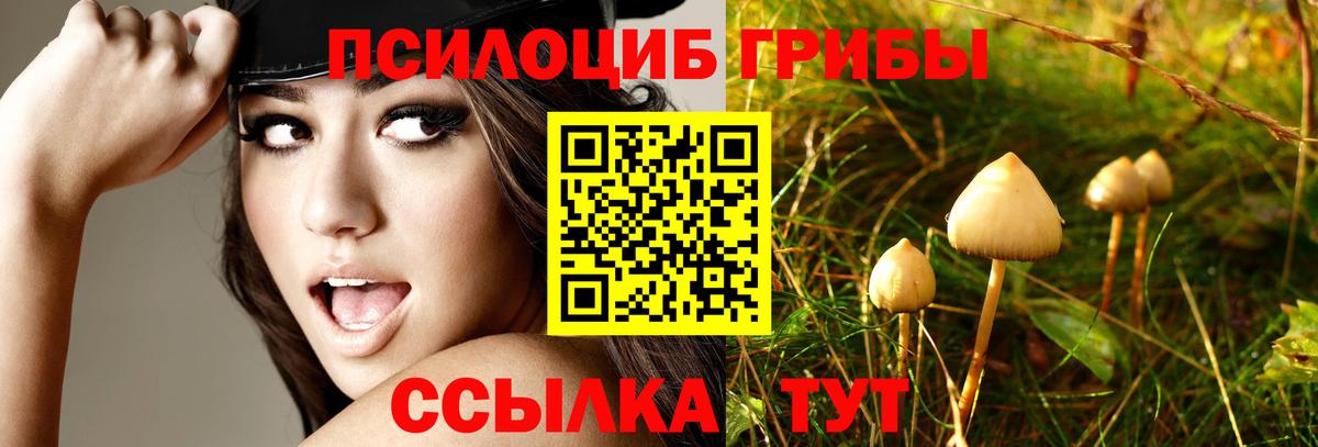 Галлюциногенные грибы ЛСД Ульяновск