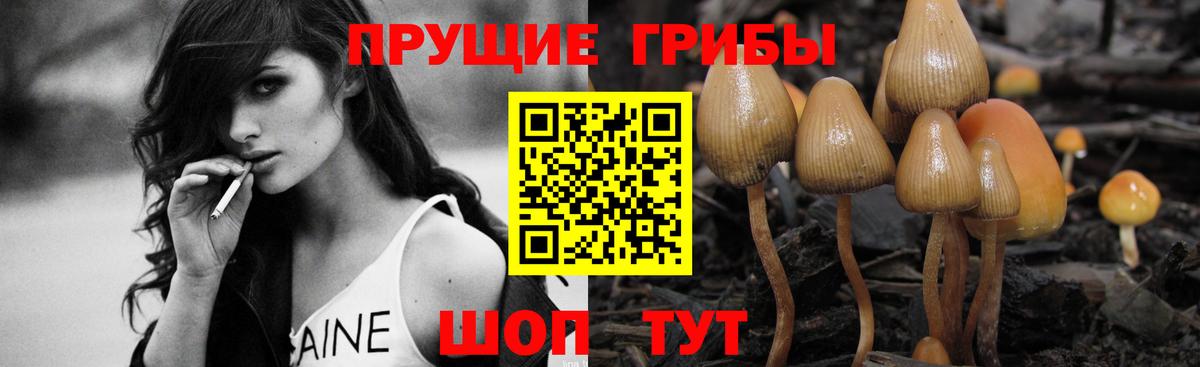 МАРИХУАНА Ульяновск