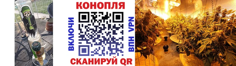 МАРИХУАНА семена Ульяновск